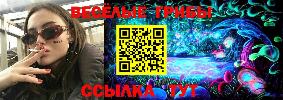 Кострома  Галлюциногенные грибы Psilocybine cubensis  Псилоцибиновые грибы GOLDEN TEACHER  Вход с VPN 